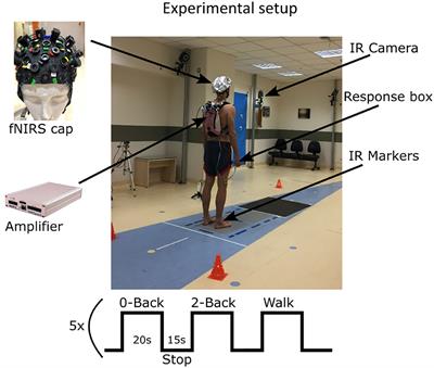 The use of functional near infrared spectroscopy and gait analysis to characterize cognitive and motor processing in early-stage patients with multiple sclerosis